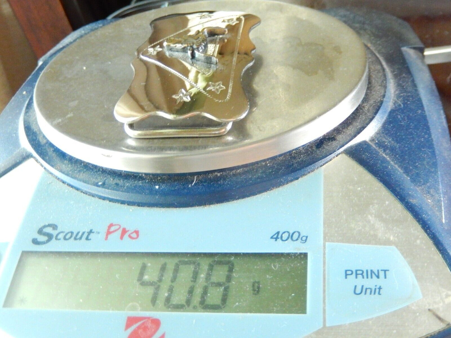 Vintage Chambers Belt Co. Buckle Cowboy Western Silver Bull USA