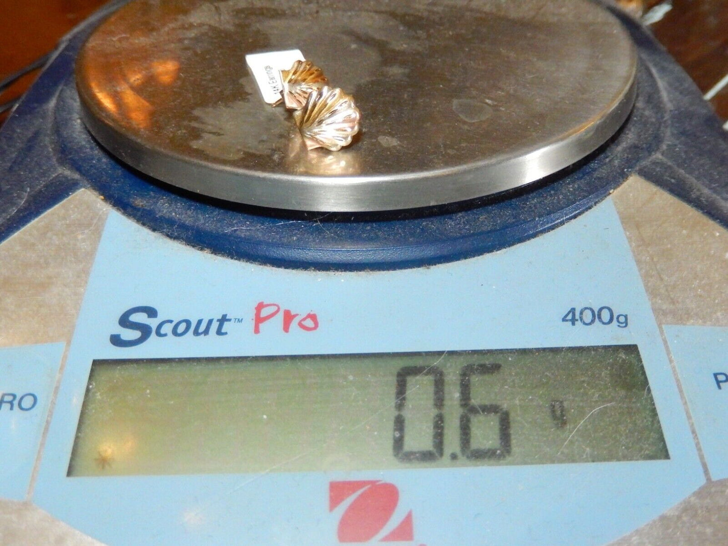 *NWT* 14K Tricolor Diamond-Cut Seashell Shell Earrings
