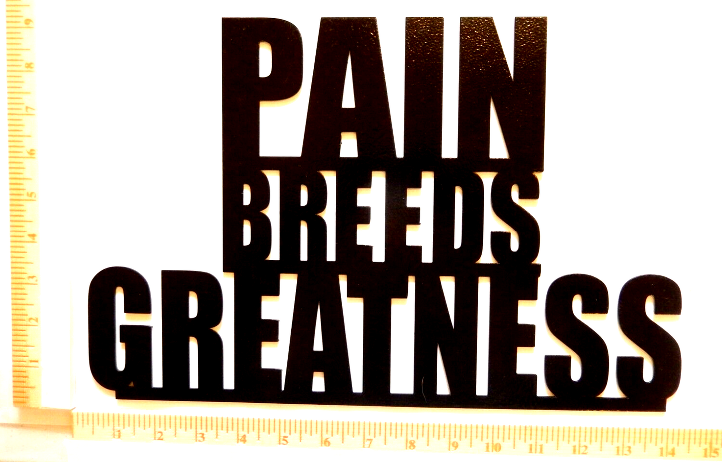 ~NEW~ 14ga. "PAIN BREEDS GREATNESS" Black Metal Wall Art 14"x9"