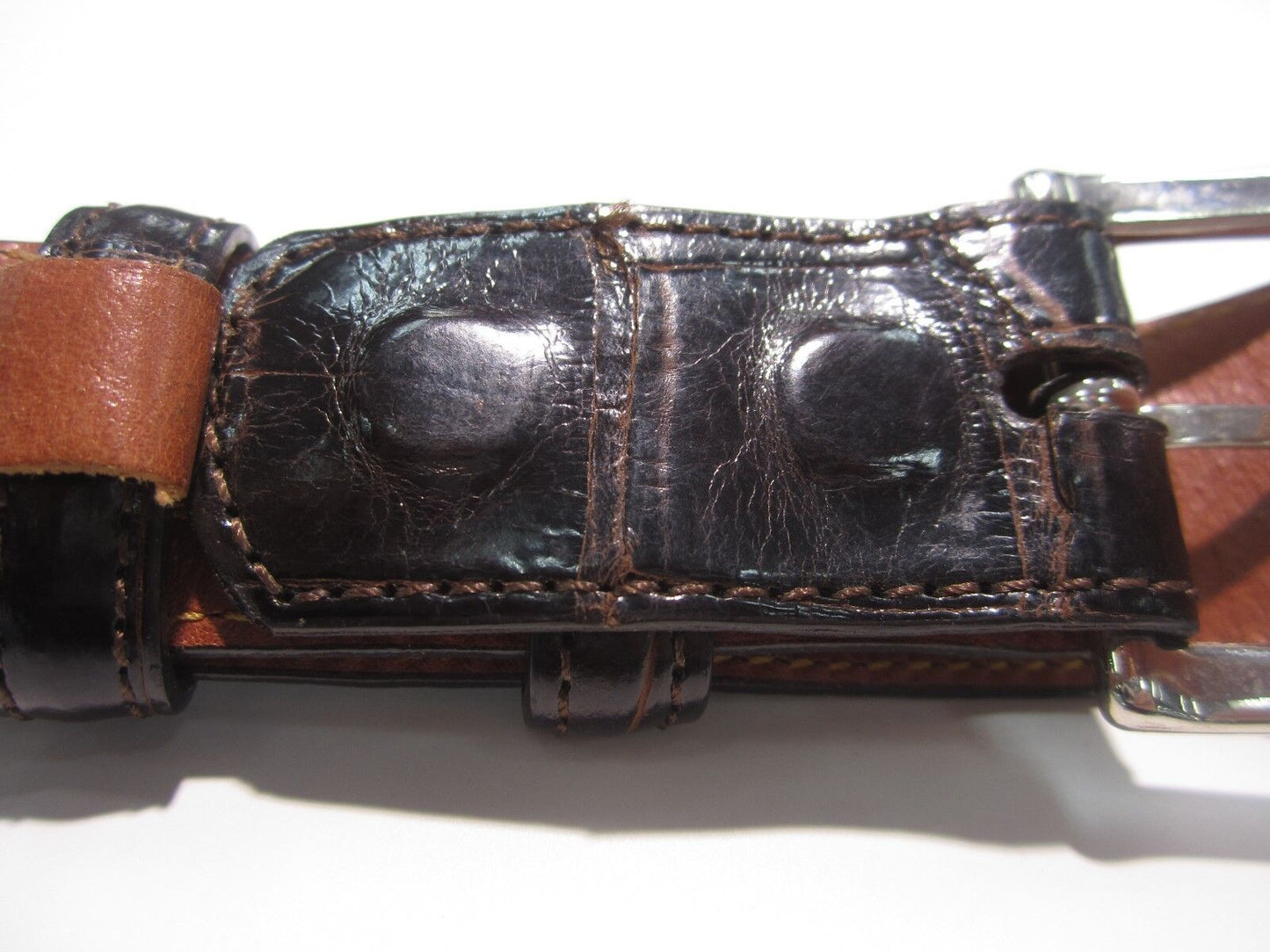 Raven Brown American Aligator Womens Belt Size 30 Silvertone Buckle Very Nice