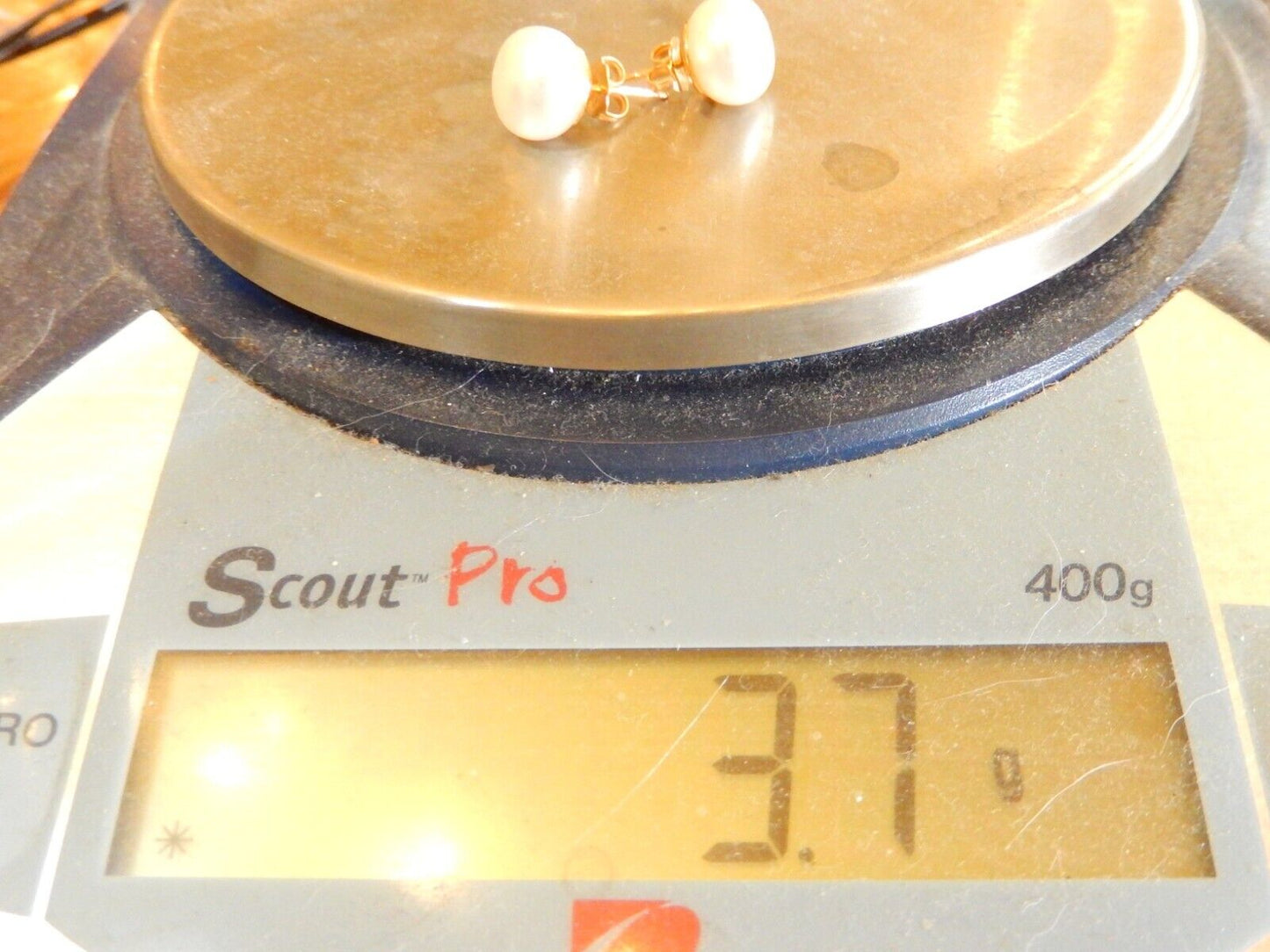 *NEW* 14K Yellow Gold 11mm Button Sea Pearl Round Stud Earrings