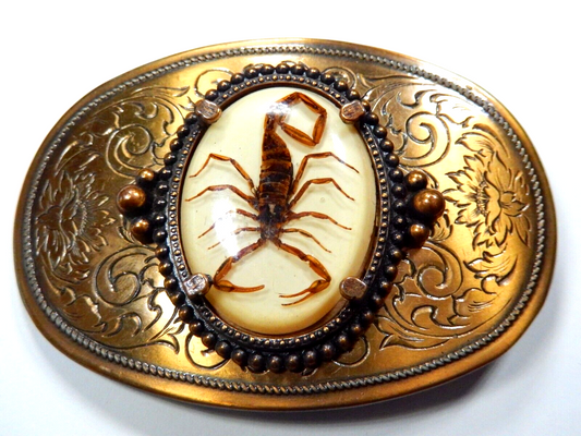 Vintage Real Scorpion Belt Buckle 3-1/2" x 2-1/4"