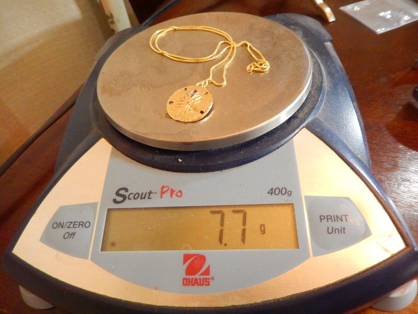 14K Yellow Gold 22mm Sand Dollar Pendant with 20 Box Chain  77grams