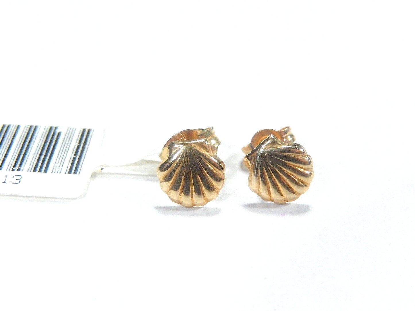14K Yellow Gold Seashell Stud Earrings