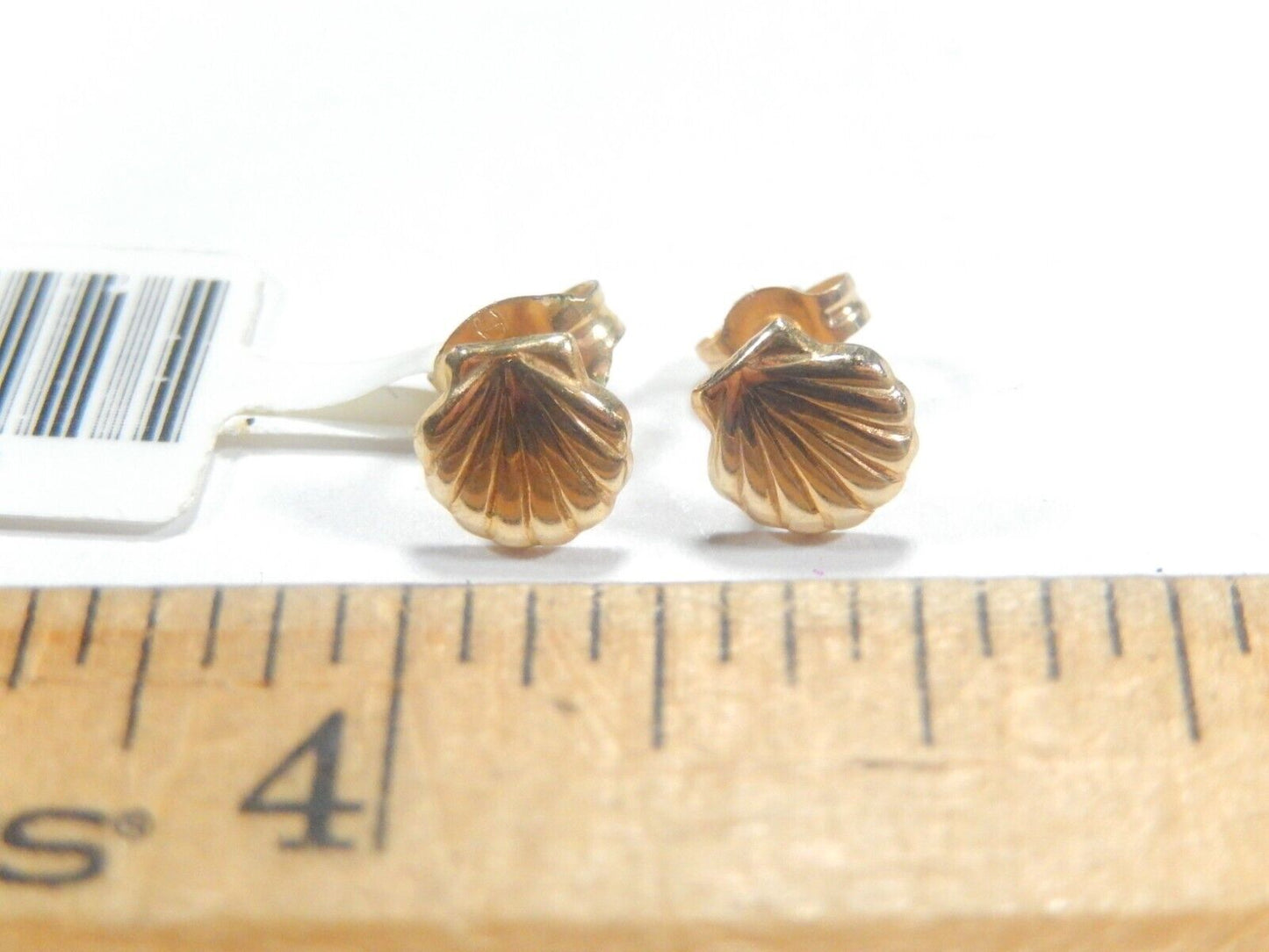 14K Yellow Gold Seashell Stud Earrings