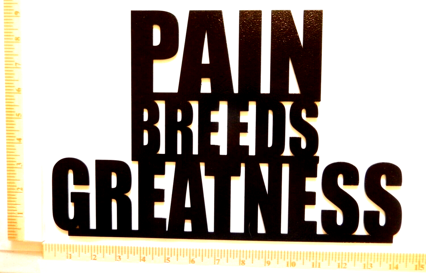 ~NEW~  14ga. "PAIN BREEDS GREATNESS" Black Metal Wall Art 14"x9"