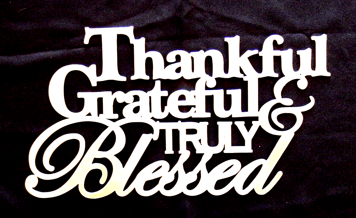 ~NEW~ 14ga. "Thankful Grateful & Truly Blessed" Silver Metal Wall Art - 14" x 8"