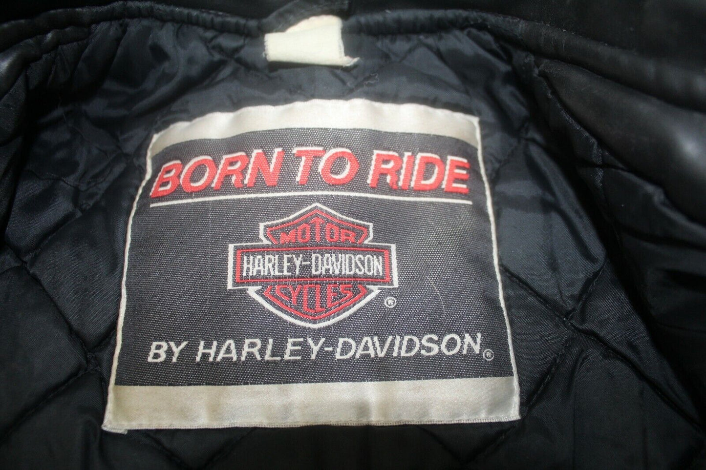 Harley Davidson Born to Ride Simulation Leather Black Biker Jacket Youth